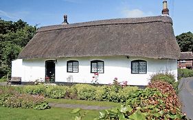 Childe Of Hale Cottage - 27896